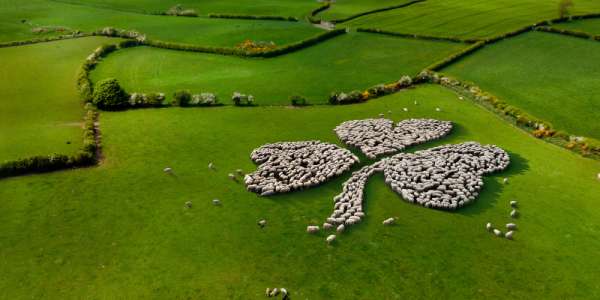 2026 Is Shaping Up to Be the Best Year for Flight Deals Yet